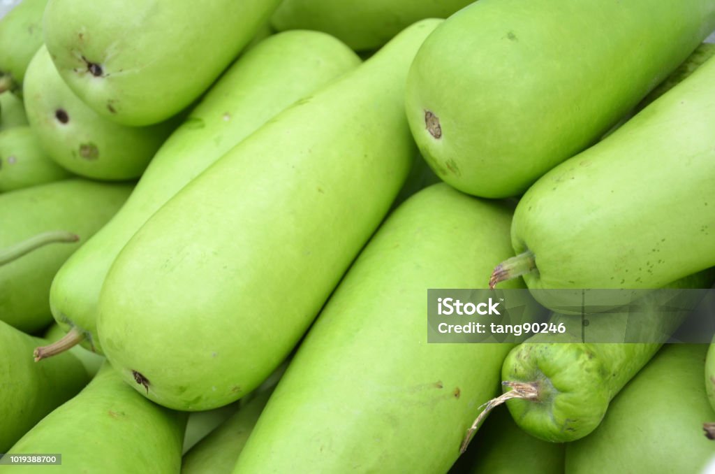Bottle Gourd