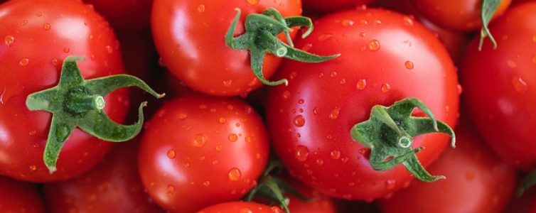 tomatoes-7433786_640